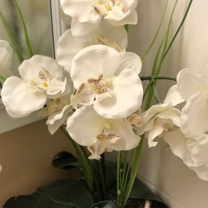 Meet your Posher, Yoalis